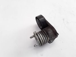 Volvo C70 Napinacz paska wielorowkowego / Alternatora 31251654