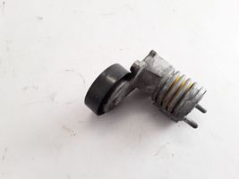 Volvo C70 Napinacz paska wielorowkowego / Alternatora 31251653