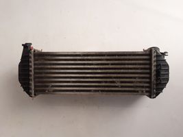 Renault Kangoo II Interkūlerio radiatorius 8200427469