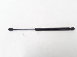 Renault Megane III Tailgate strut 904510001R