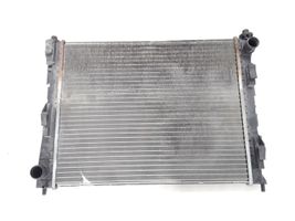 Renault Twingo II Coolant radiator 8200369307