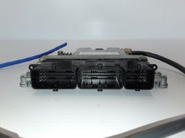 Renault Koleos II Calculateur moteur ECU 1300050444