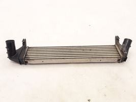 Dacia Duster Chłodnica powietrza doładowującego / Intercooler 8200409045