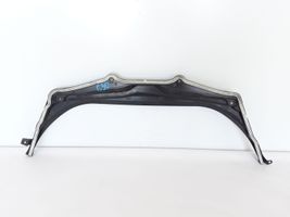 BMW 5 G30 G31 Rivestimento della modanatura della chiusura del vano motore/cofano 51717340207