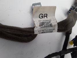 Renault Latitude (L70) Other wiring loom 241253893R
