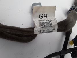 Renault Latitude (L70) Otros cableados 241253893R