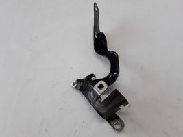 Renault Captur Cerniere del vano motore/cofano 654011593R