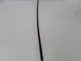 Volvo XC60 Front door glass trim molding 31352541