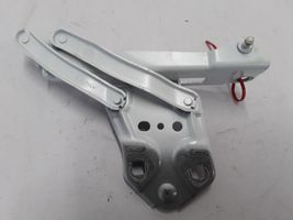 Volvo XC40 Engine bonnet/hood hinges 31356752