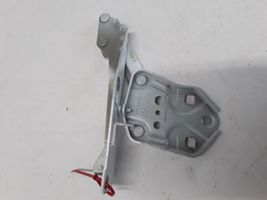 Volvo XC40 Engine bonnet/hood hinges 31356752