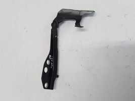 Volvo C70 Cerniere del vano motore/cofano 30753598