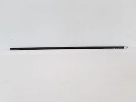 Volvo XC60 Front door glass trim molding 31385844