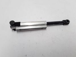 Volvo C70 Tailgate strut 30633693