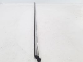 Renault Fluence Rear door trim (molding) 828210572R