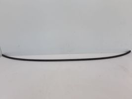 Volvo V60 Rubber seal front coupe door window 30799663