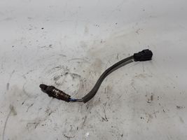 Volvo V40 Sensore della sonda Lambda 31480398