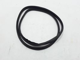 Renault Megane III Front door rubber seal 808320004R