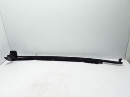 Renault Megane III Front door glass trim molding 803310034R