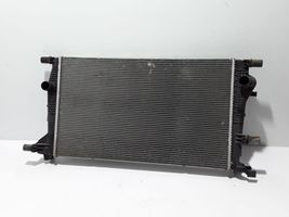 Renault Megane III Jäähdyttimen lauhdutin 214100016R