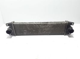 Renault Mascott Chłodnica powietrza doładowującego / Intercooler 5010382814