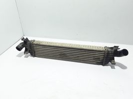 Volvo S40 Chłodnica powietrza doładowującego / Intercooler 30741046