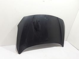 Renault Fluence Engine bonnet/hood 651003798R