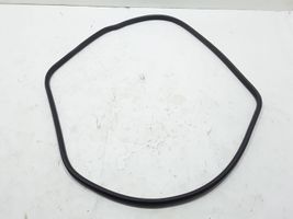 Volvo C30 Front door rubber seal 31298370