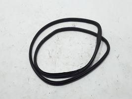 Volvo C30 Front door rubber seal 31298370