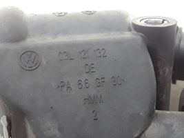 Volkswagen Tiguan Termostatas 03L121132