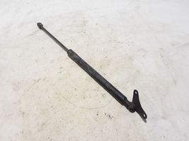 Volkswagen Tiguan Jambe de force de hayon 5N0827550