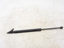 Volkswagen Tiguan Jambe de force de hayon 5N0827550