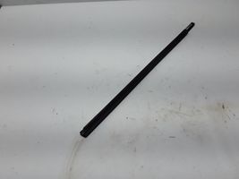 Dacia Spring Front door glass trim molding 808329848R