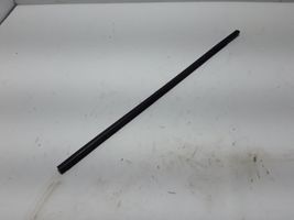 Dacia Spring Front door glass trim molding 808329848R