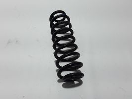 Dacia Spring Rear coil spring 550200356R