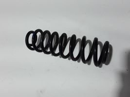 Dacia Spring Rear coil spring 550200356R