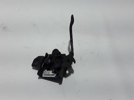 Dacia Spring Maniglia di rilascio del vano motore (cofano) 656012576R