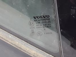 Volvo XC40 Vetro del deflettore posteriore 31442384