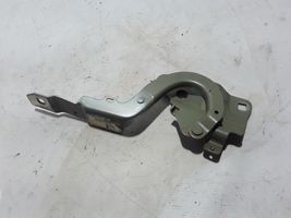 Renault Zoe Cerniere del vano motore/cofano 654009955R