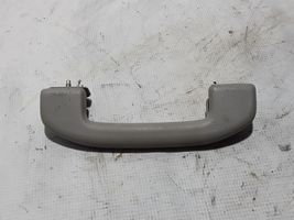 Nissan Pathfinder R51 Poignée de maintien plafond avant 73940EA002