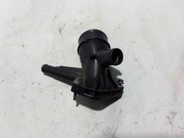 Renault Megane IV Termostato/alloggiamento del termostato 165763616R