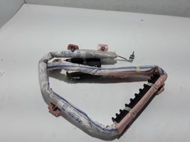 Hyundai Ioniq Roof airbag 85010G2000