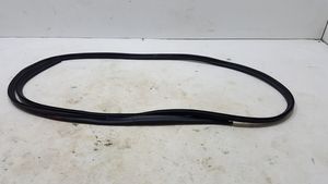 Renault Kangoo III Rubber seal sliding door (on door) 