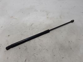 Ford Fiesta Jambe de force de hayon H1BBA406A10AE