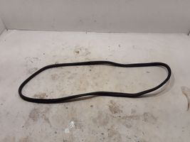 BMW X3 G01 Rear door rubber seal (on body) 7468930