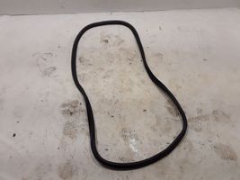 BMW X3 G01 Rear door rubber seal (on body) 7468930