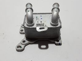 Dacia Jogger Supporto di montaggio del filtro dell’olio 213055917R