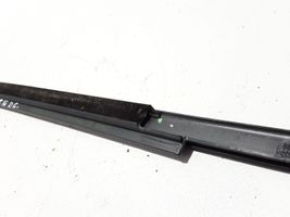 Renault Scenic IV - Grand scenic IV Rear door trim (molding) 828203549R