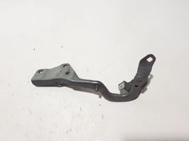 Renault Scenic IV - Grand scenic IV Charnière, capot moteur 654010894R