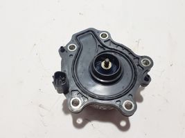 Toyota C-HR Pompa dell’acqua 161A039035