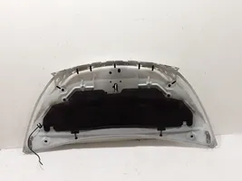 Renault Trafic III (X82) Engine bonnet/hood 651001855R